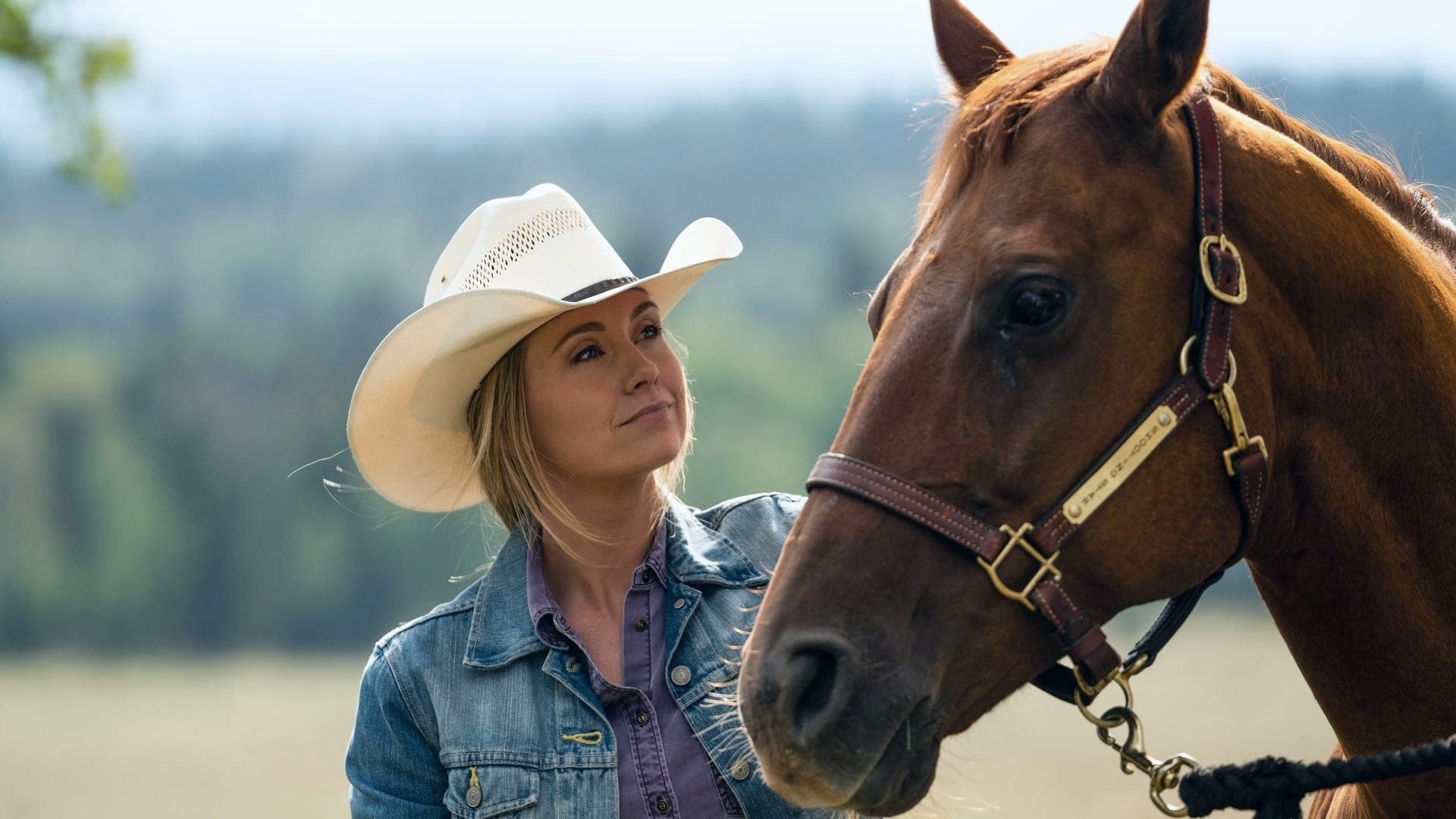 Early Seasons Of ‘Heartland’ Have Been Removed From Netflix Internationally